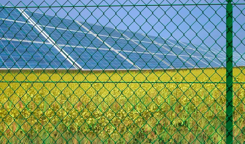 Cercamento Losangular