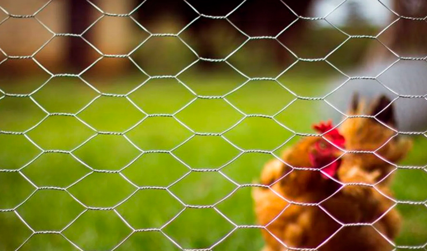 Telas Diversas Hexagonal